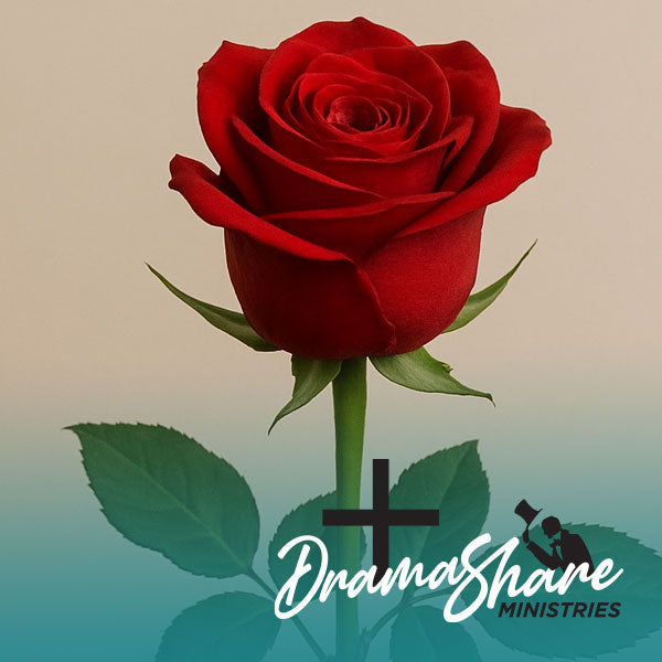 red rose