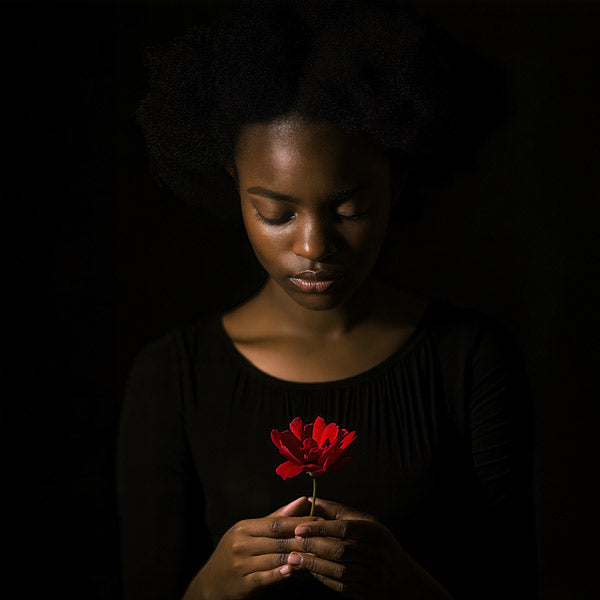 Dramashare - Rose Petal