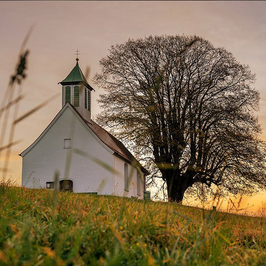 Birth of the Church